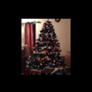 Meet your Posher, Irieman